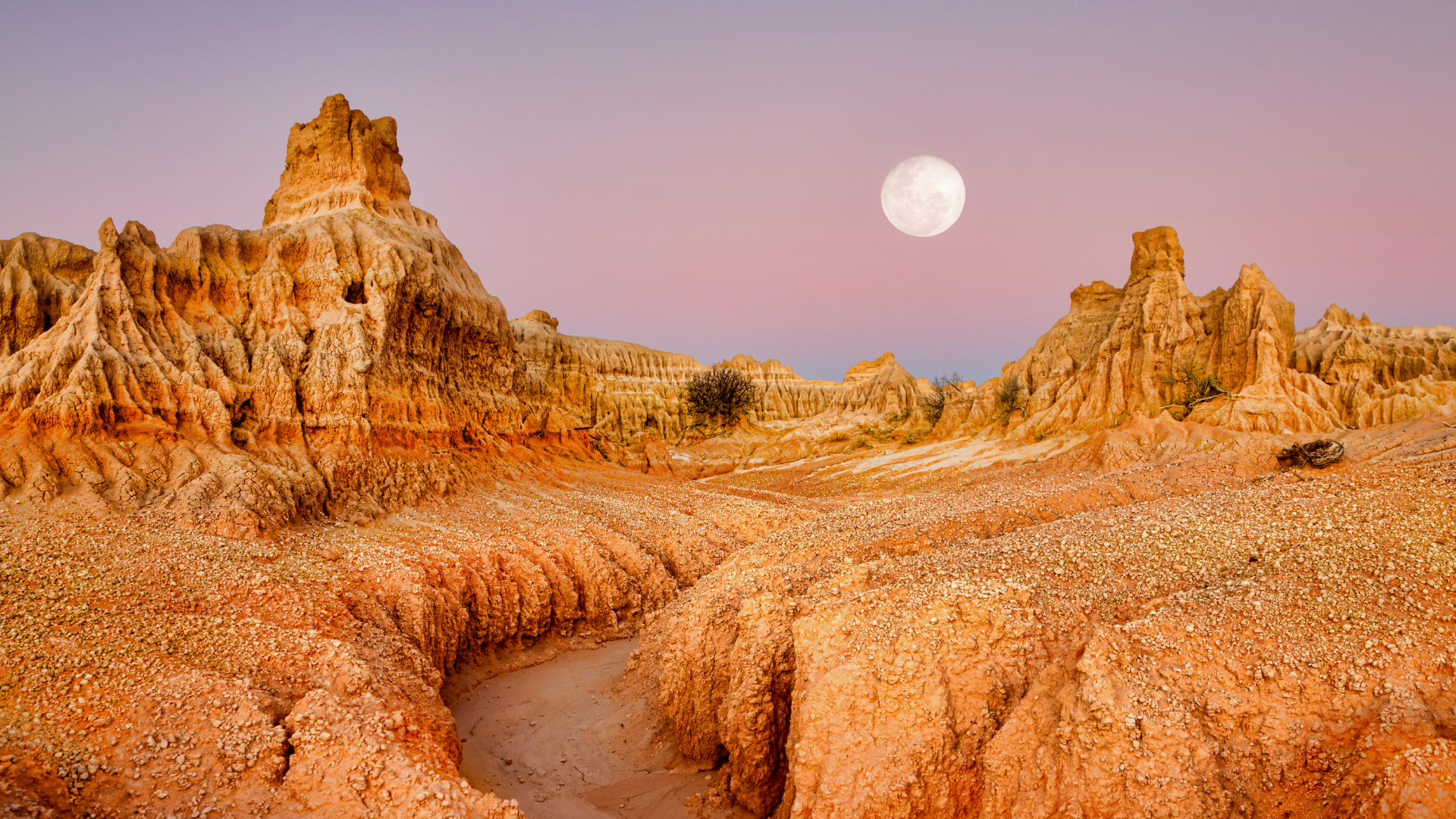 Teaching Blog Images (1)