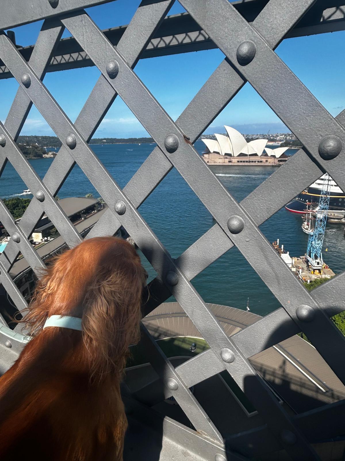 Fc2168c5 486C 4790 B197 D84d7f70b1bb