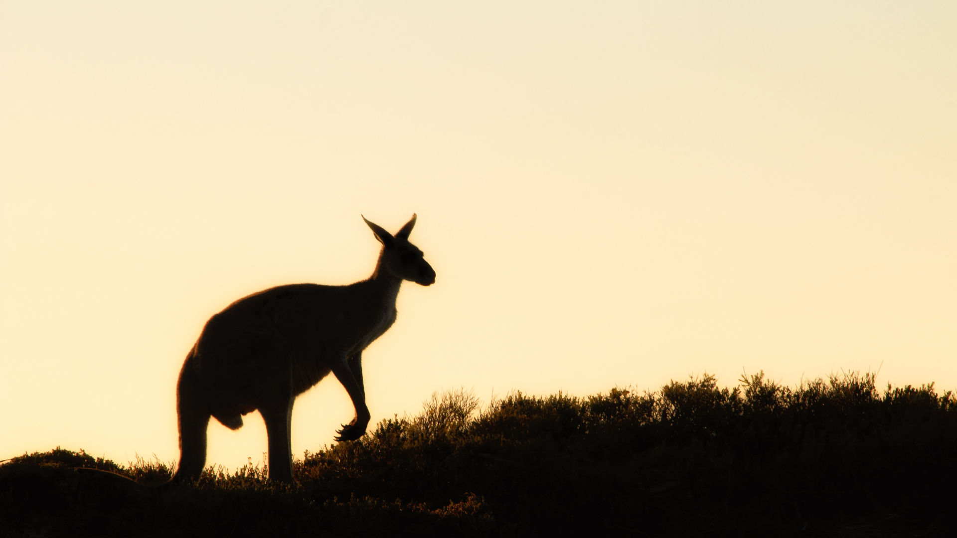 Teaching Blog Images