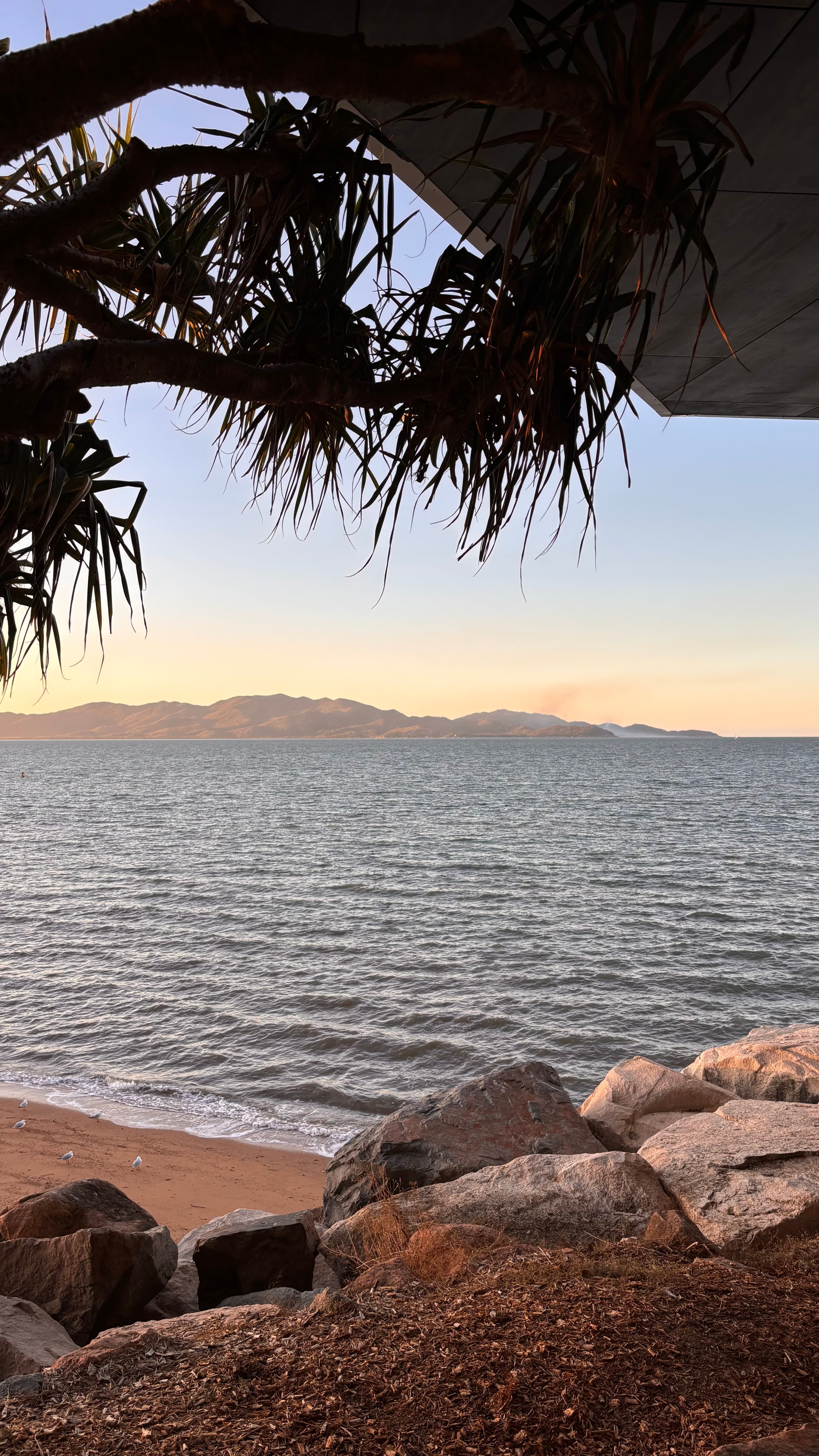 IMG 9294 Tatum Hewson (1)